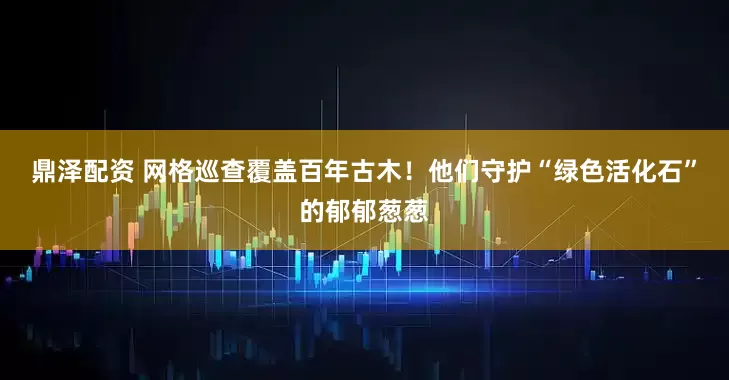 鼎泽配资 网格巡查覆盖百年古木！他们守护“绿色活化石”的郁郁葱葱