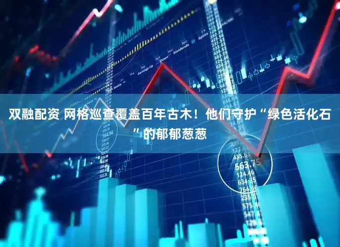双融配资 网格巡查覆盖百年古木！他们守护“绿色活化石”的郁郁葱葱