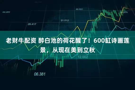 老财牛配资 醉白池的荷花醒了！600缸诗画莲景，从现在美到立秋