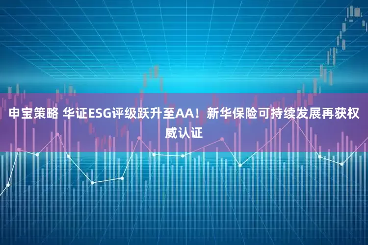 申宝策略 华证ESG评级跃升至AA！新华保险可持续发展再获权威认证