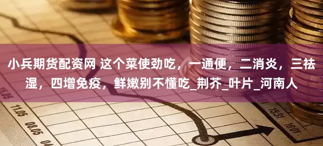小兵期货配资网 这个菜使劲吃，一通便，二消炎，三祛湿，四增免疫，鲜嫩别不懂吃_荆芥_叶片_河南人