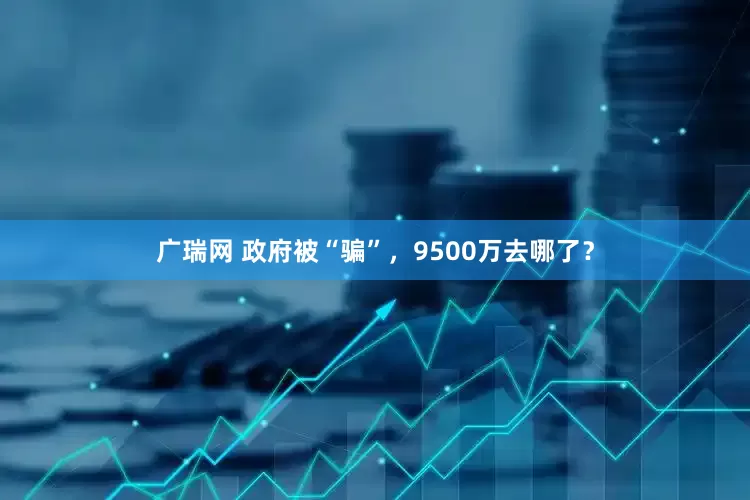 广瑞网 政府被“骗”，9500万去哪了？